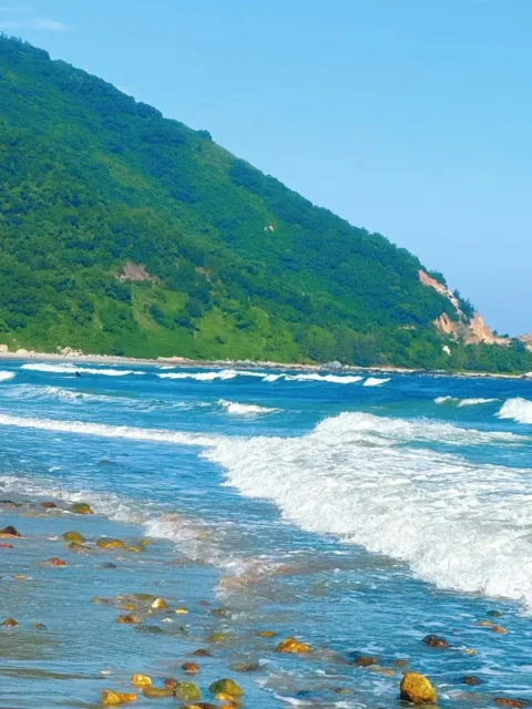 一起去沙滩，看海🌊